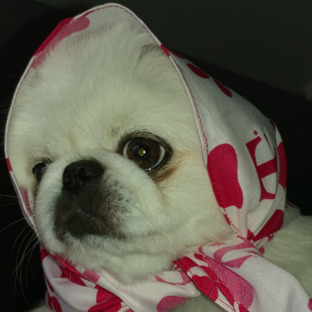 Meet your Posher, Jaclyn